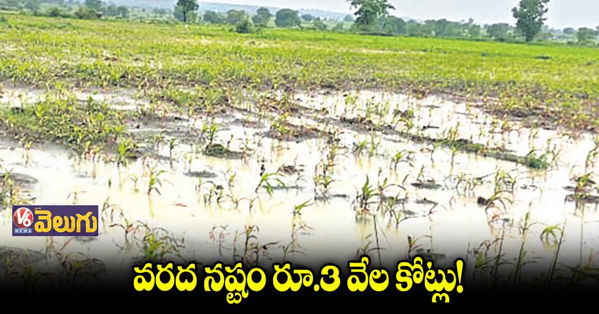 రాష్ట్రవ్యాప్తంగా పంట నష్టం రూ.1,200 కోట్లకుపైనే