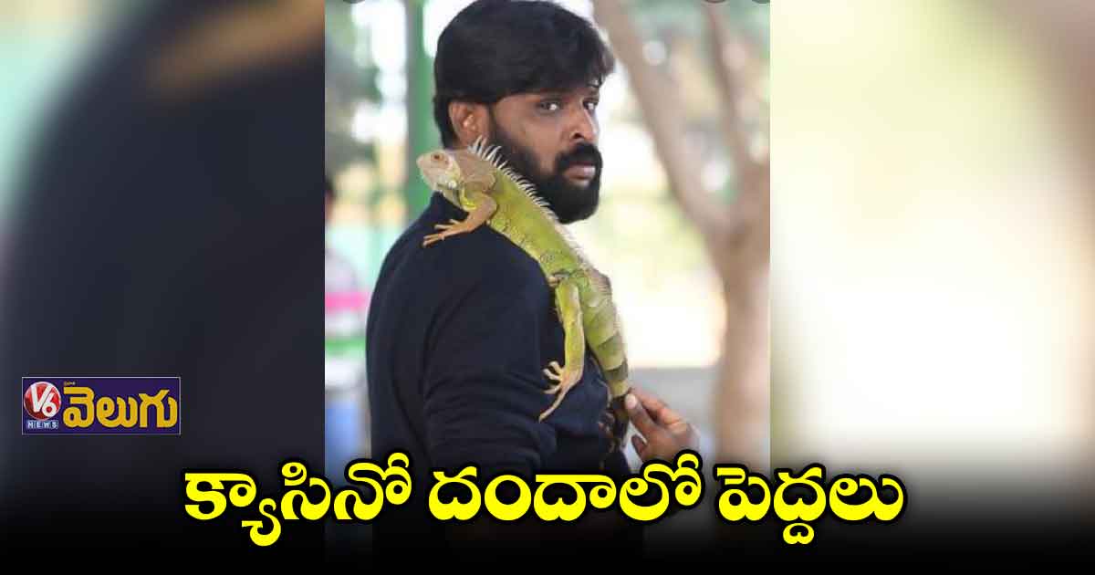 ముగ్గురు గ్రేటర్ మంత్రులతో చీకోటికి ఆర్థిక లావాదేవీలు