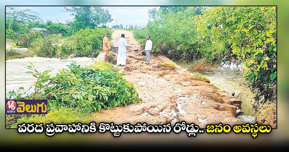 ఊరి రోడ్డు తెగినా పట్టించుకుంటలేరు
