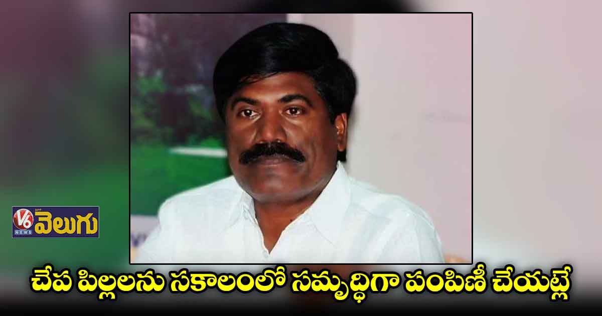  మత్స్యకారులకు శిక్షణ కోసం స్పెషల్ డ్రైవ్ నిర్వహించాలి