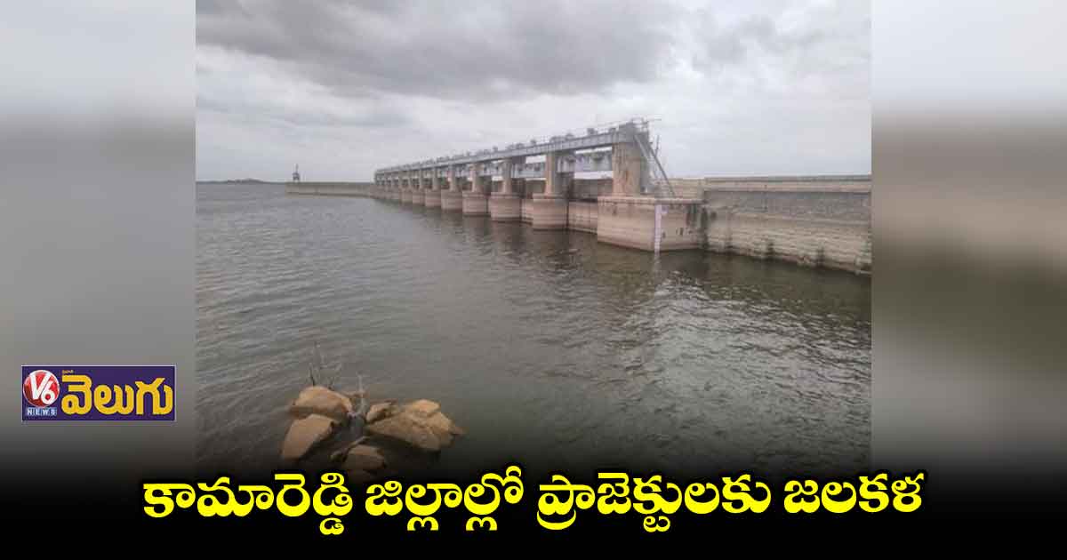 నిజాంసాగర్, పోచారం ప్రాజెక్టులకు జలశోభ