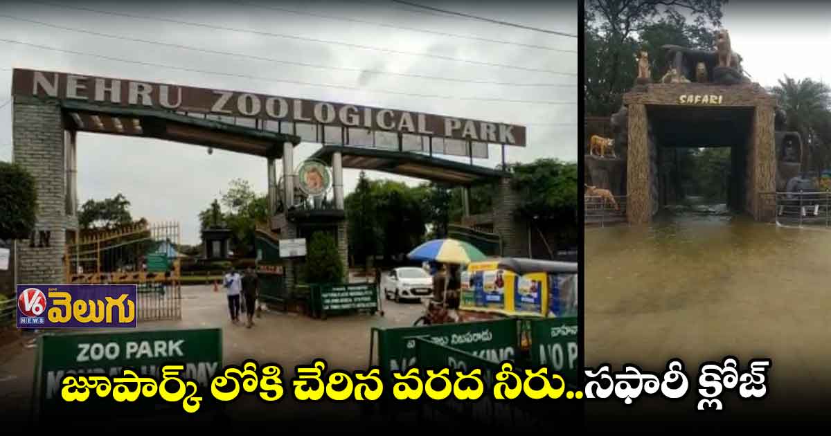హైదరాబాద్ జూపార్క్ కు పోటెత్తిన వరద..సఫారీ మూసివేత