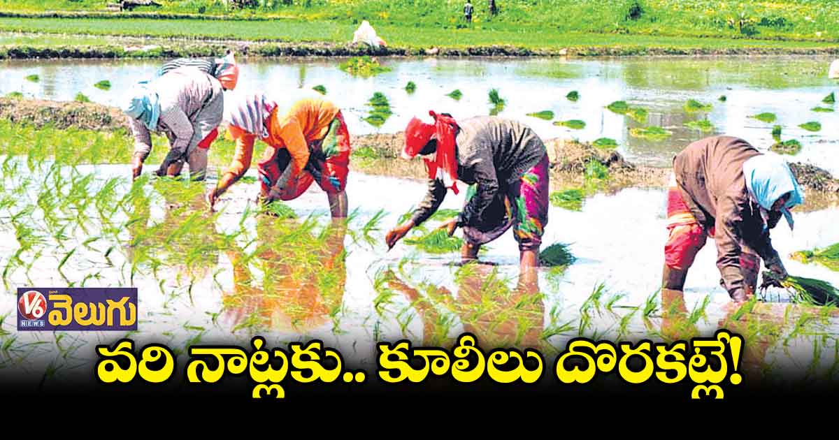 వ్యవసాయ పనులు ఊపందుకునే సమయంలో కూలీల కొరత