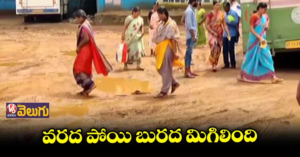 దుర్గంధంగా కాలనీలు.. ఆవేదనలో బాధిత కుటుంబాలు