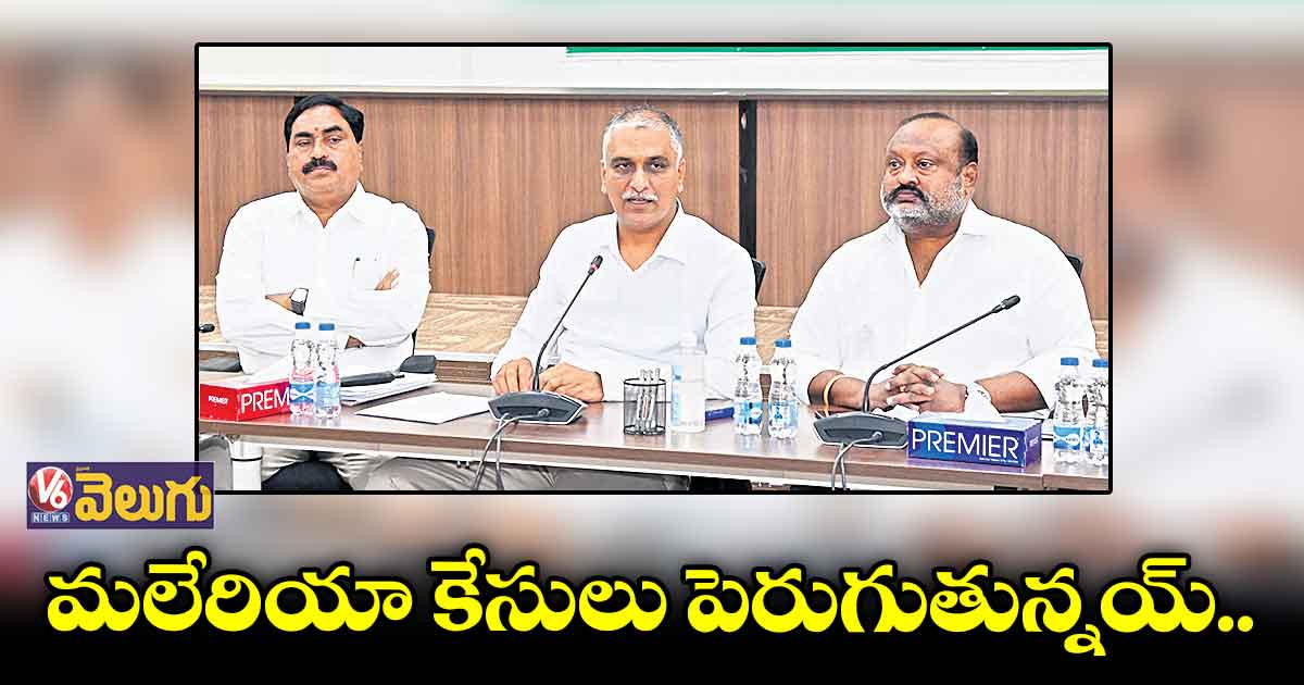 సీజనల్ వ్యాధులు ప్రబలే ప్రమాదం ఉంది