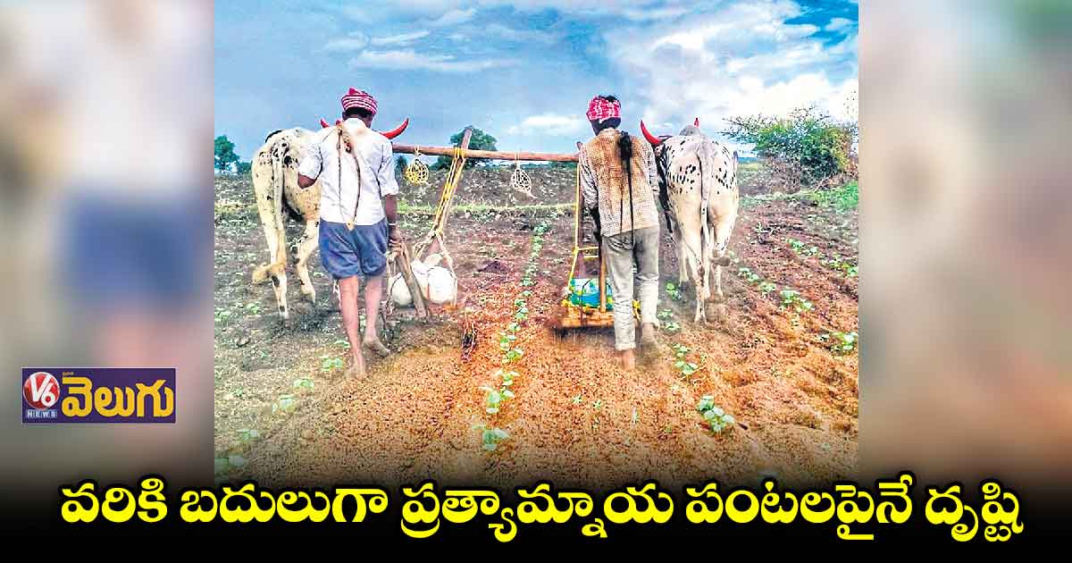 పత్తి, కందిపై రైతుల మొగ్గు