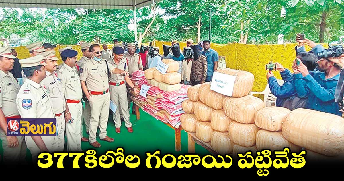భారీగా గంజాయి పట్టివేత.. 9 మంది అరెస్ట్