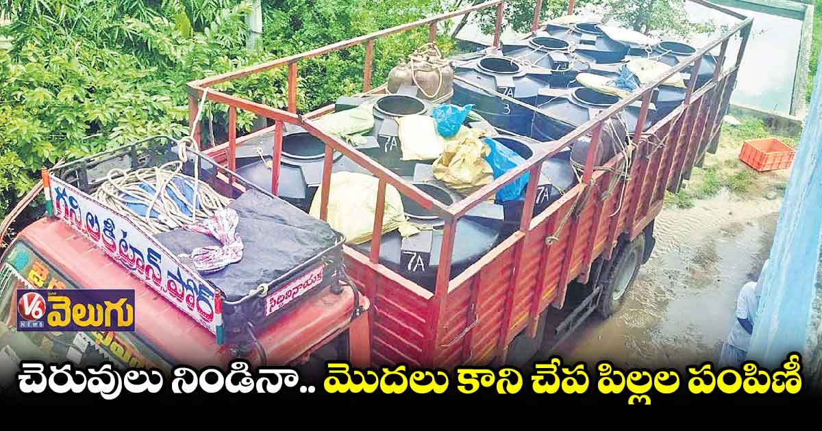 అదును దాటుతున్న చేప పిల్లలు వదలరాయే..