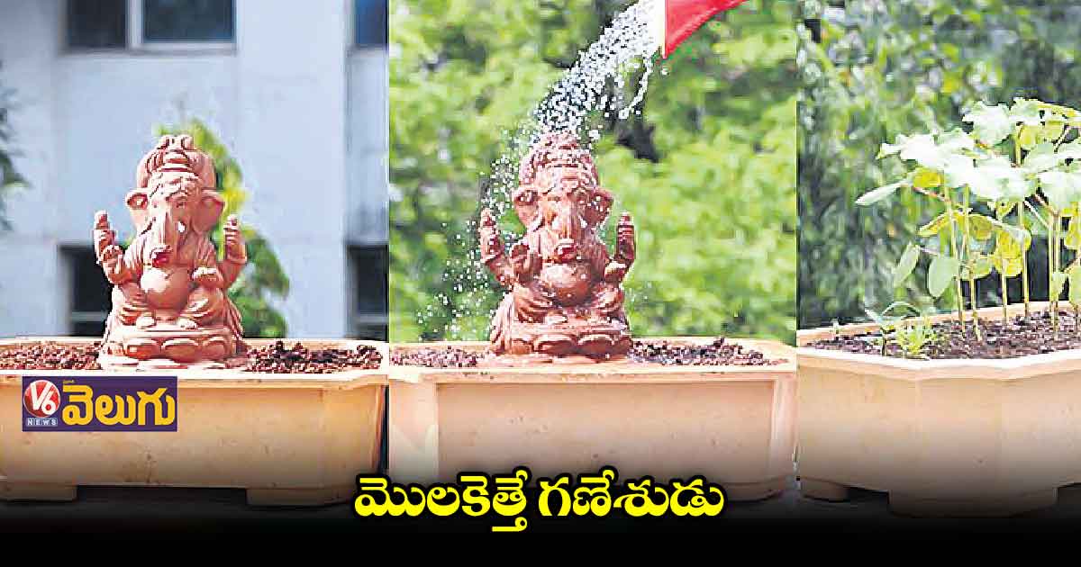 పెరట్లోనే నిమజ్జనం చేసుకునేలా మొలకెత్తే గణేశుడు