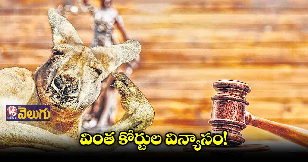  రోజు రోజుకు పెరిగిపోతున్న  మీడియా విచారణలు