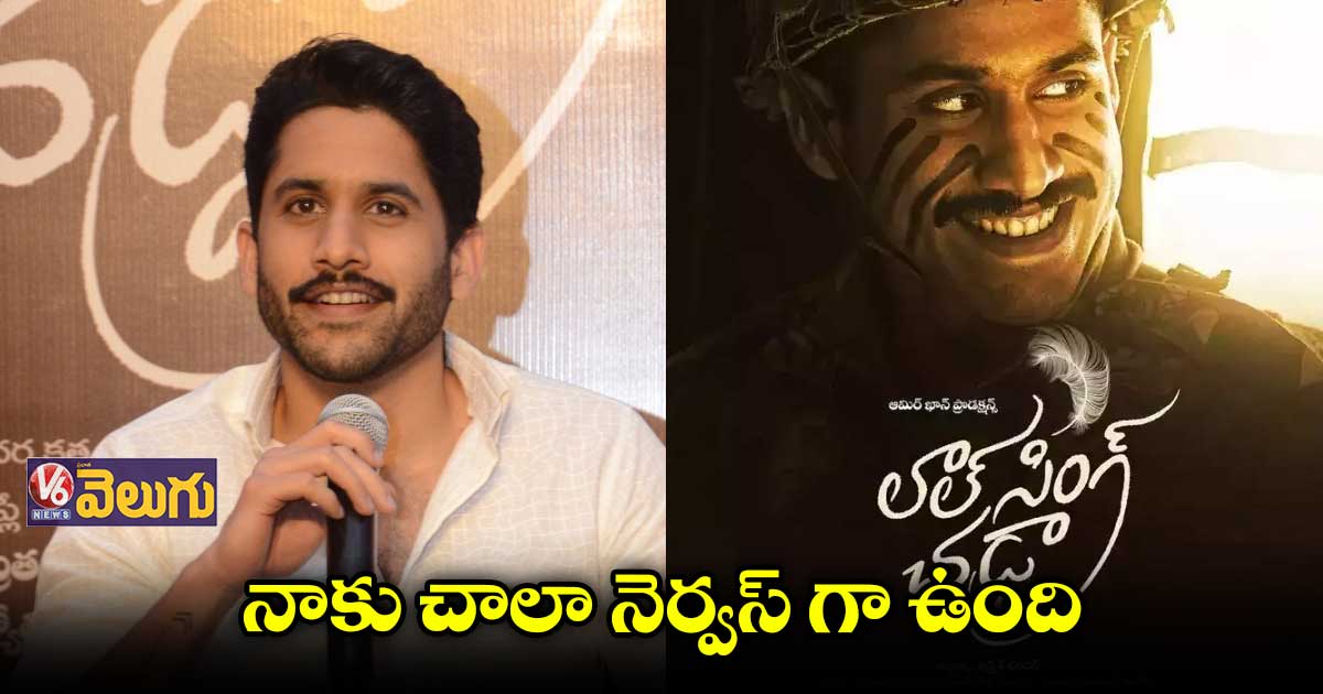 "లాల్ సింగ్ చెడ్డా"లో తెలుగుతనం ఉట్టిపడుతుంది