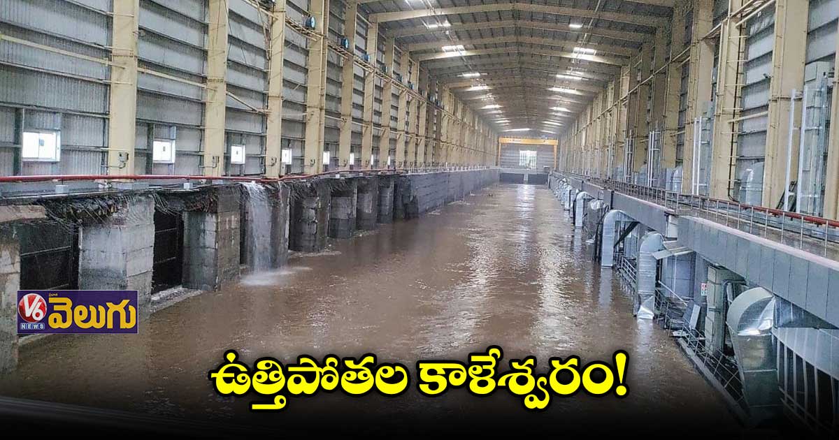 కాళేశ్వరం సుస్థిర ప్రాజెక్టు కాదు