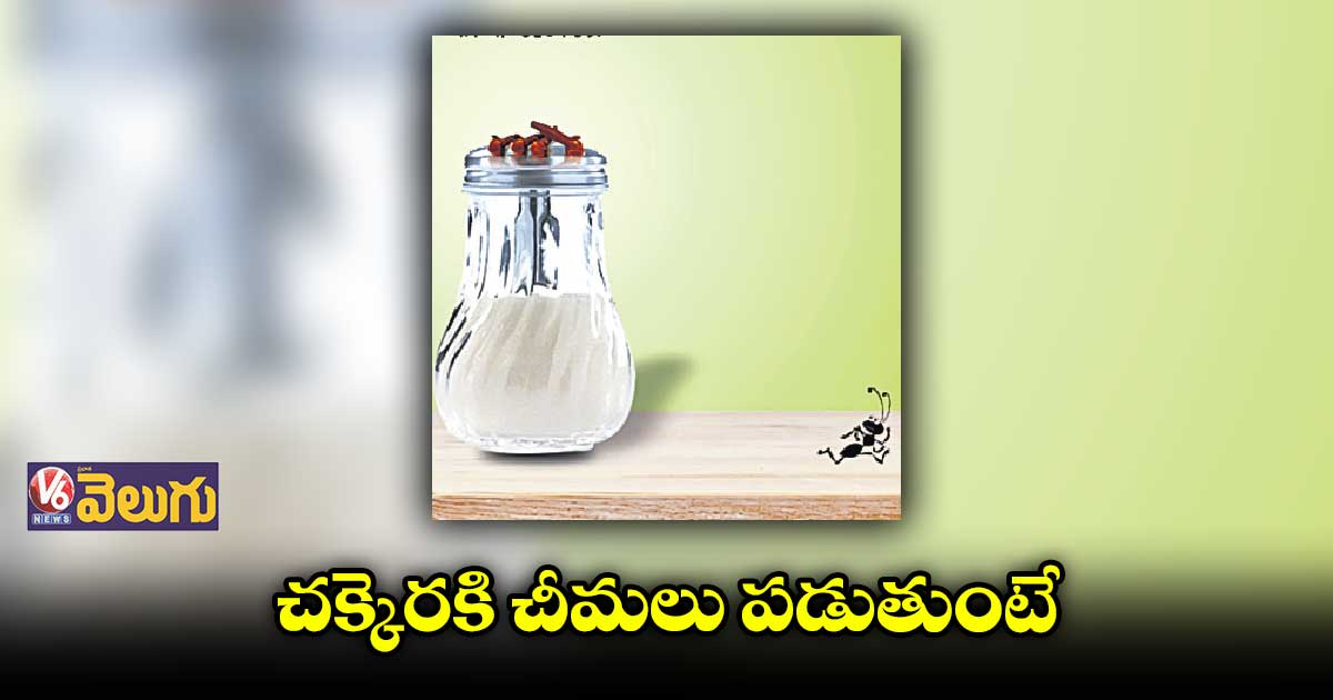 వంటింటి చిట్కాలు : చక్కెర డబ్బాలో లవంగాలు వేయాలి