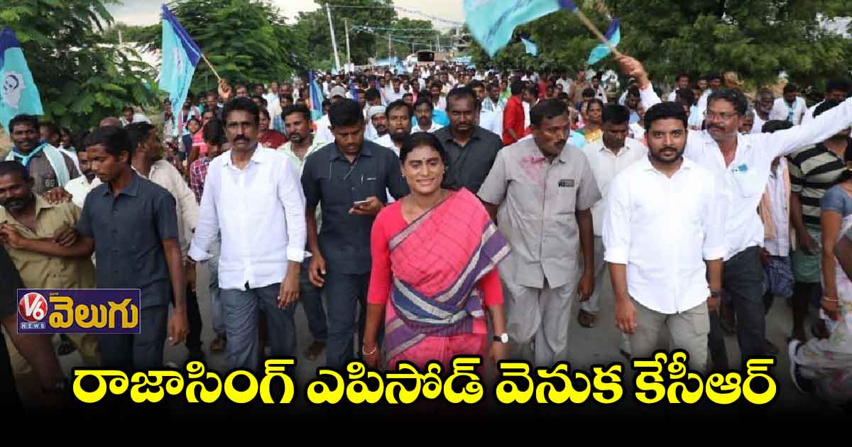 టీఆర్ఎస్, బీజేపీ కలిసి డ్రామాలాడుతున్నయ్