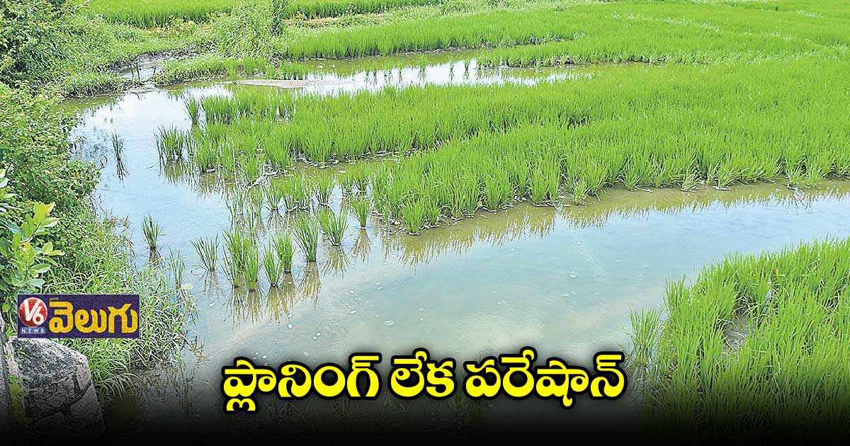  అలీసాగర్‌‌‌‌‌‌‌‌‌‌‌‌‌‌‌‌‌‌‌‌‌‌‌‌‌‌‌‌‌‌‌‌ ప్రాజెక్టు ఆయకట్టు రైతులకు శాపంగా 