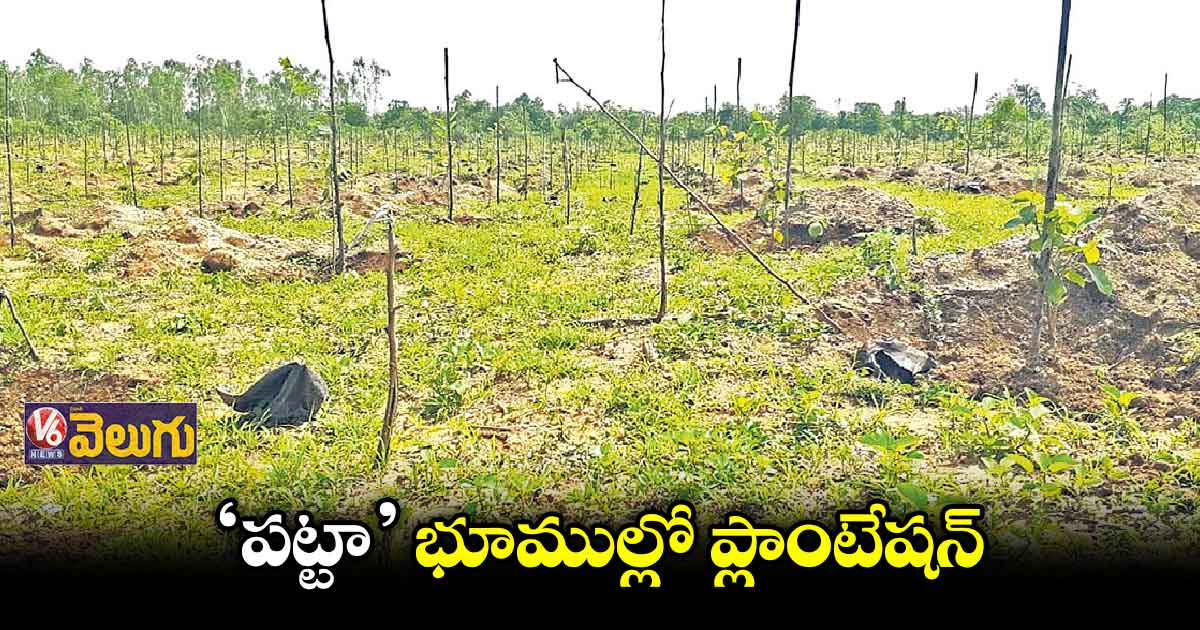 ఫారెస్ట్ భూములంటూ గుంజుకున్న ఆఫీసర్లు