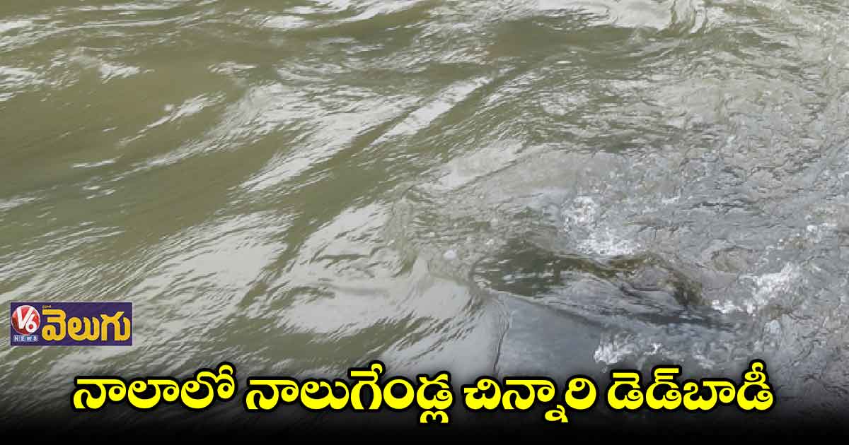 మహారాష్ట్ర థానే సిటీలో ఘోరం