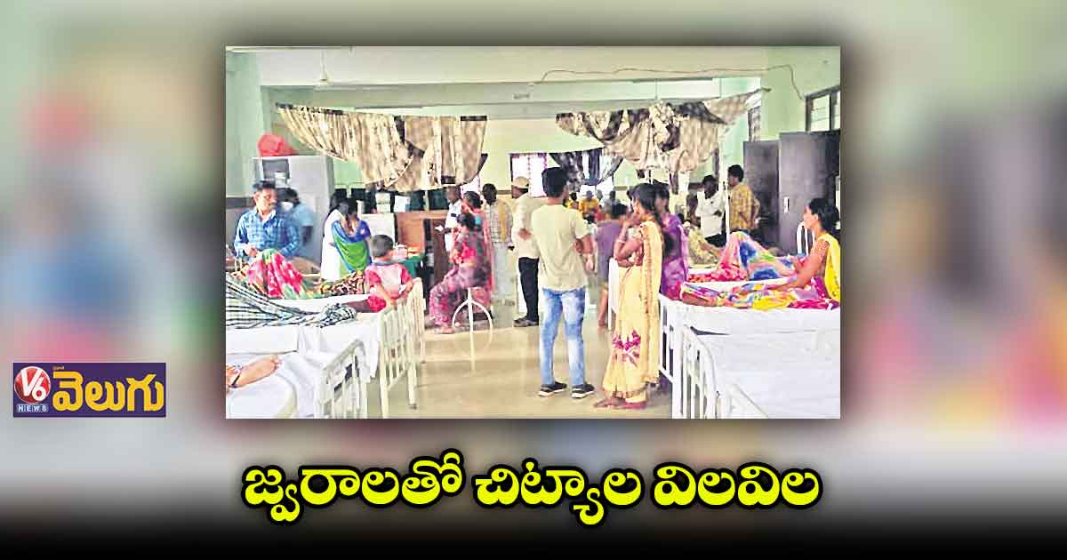 ఉమ్మడి వరంగల్ జిల్లా సంక్షిప్త వార్తలు