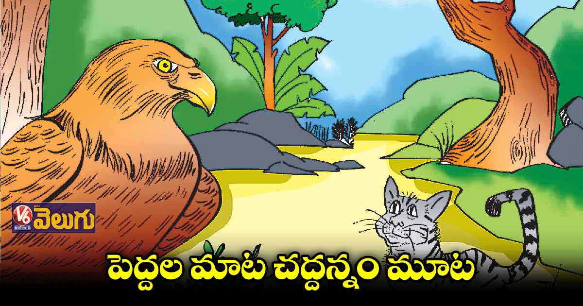పెద్దల మాట చద్దన్నం మూట