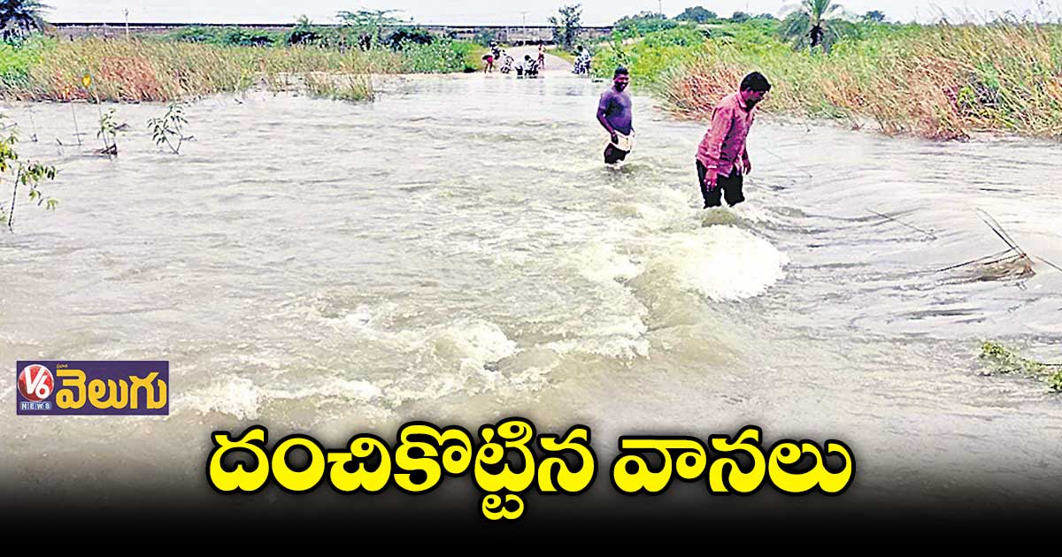 రాష్ట్రవ్యాప్తంగా భారీ వర్షాలు 