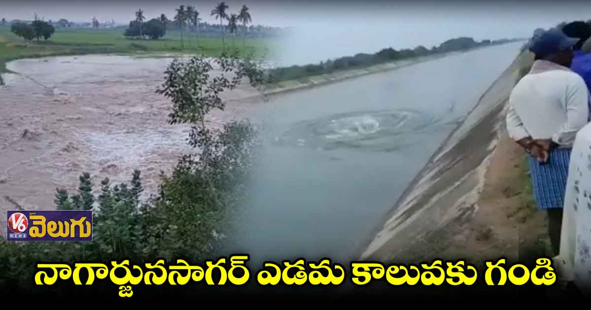 సాగర్ ఎడమకాల్వకు గండి..వేల ఎకరాల్లో పంట నష్టం