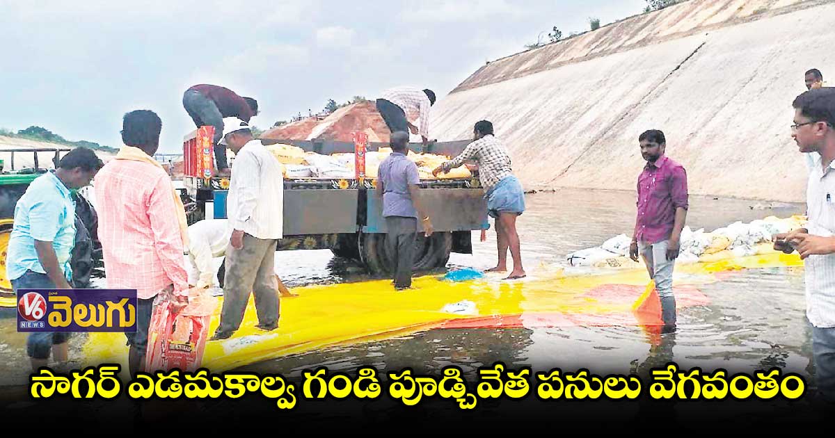 పంట నష్టం అంచనాలో వ్యవసాయ శాఖ  