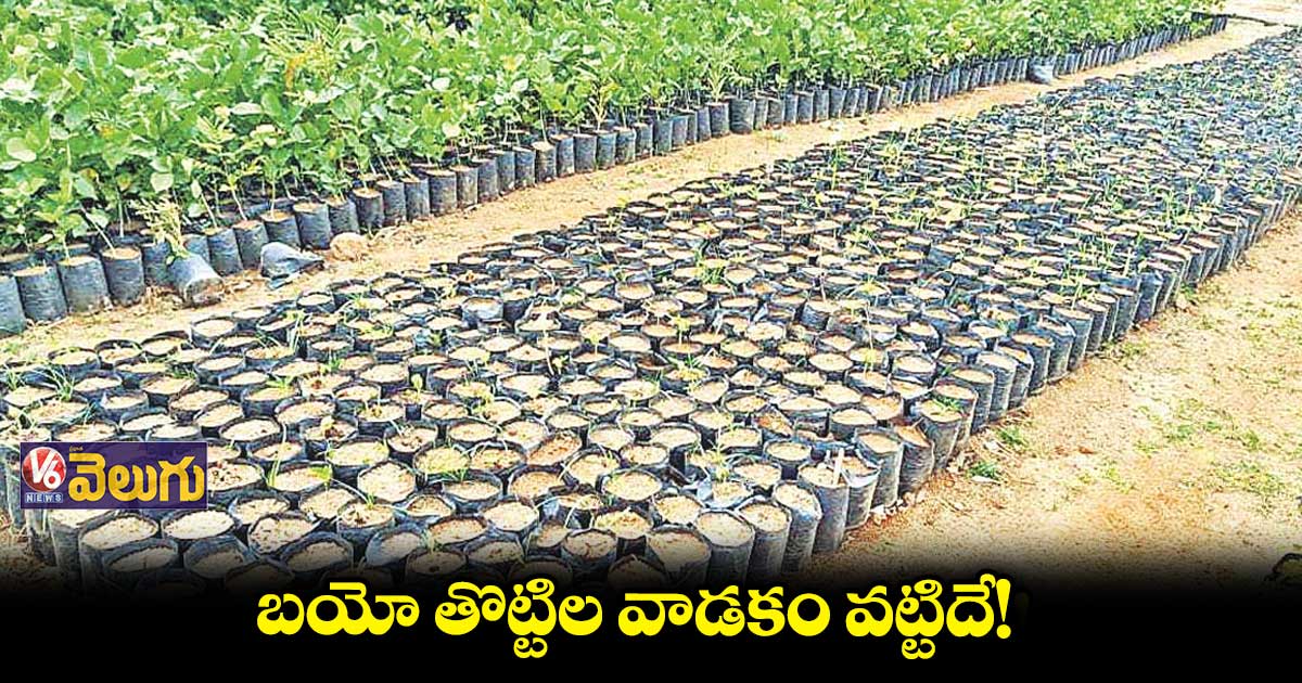 ఊసేలేని ప్లాస్టిక్‌‌‌‌ రహిత నర్సరీలు