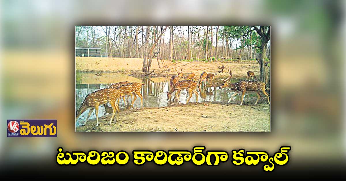 కవ్వాల్ టైగర్ జోన్ ఇక టూరిజం స్పాట్