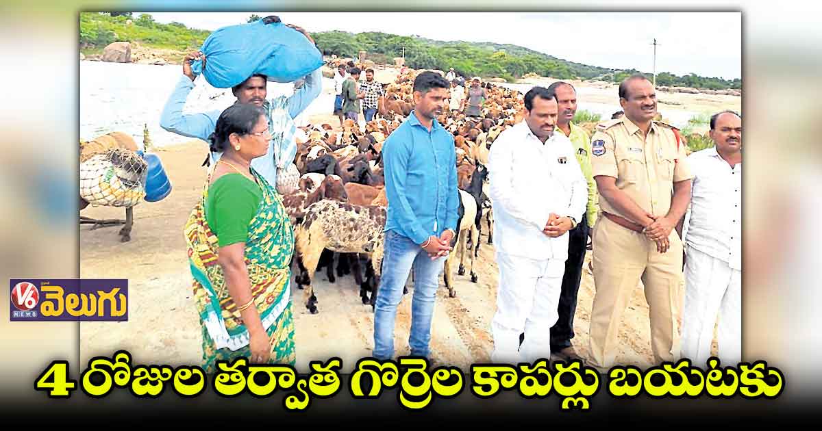 గొర్ల కాపరుల కోసం సింగూరు ప్రాజెక్ట్ ​గేట్ల మూసివేత
