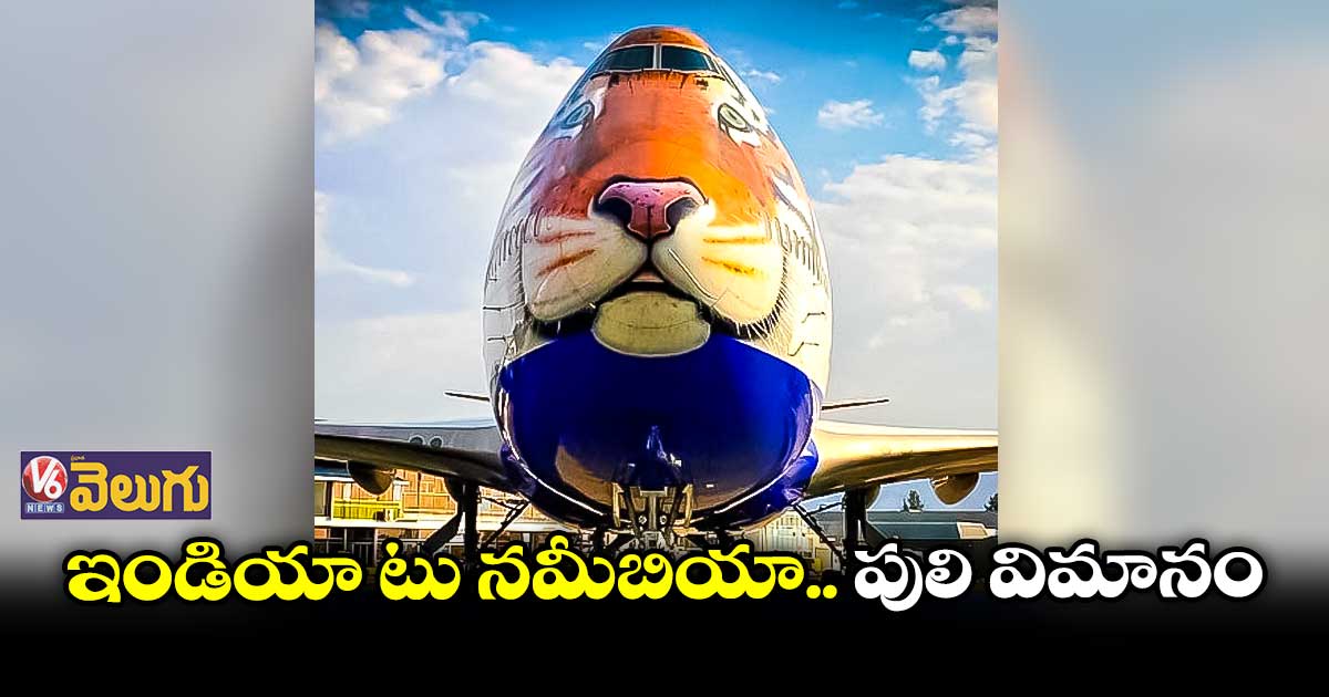 చిరుతపులుల కోసం నమీబియాకు ప్రత్యేక విమానం