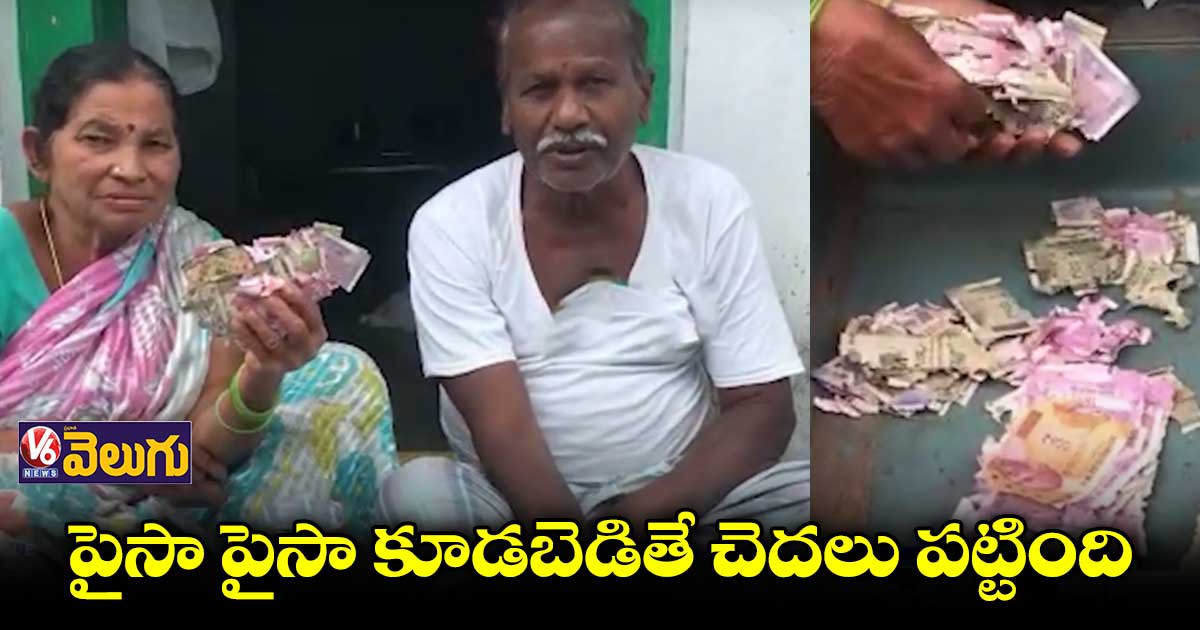 వృద్ధుల డబ్బుకు చెదలు పట్టింది