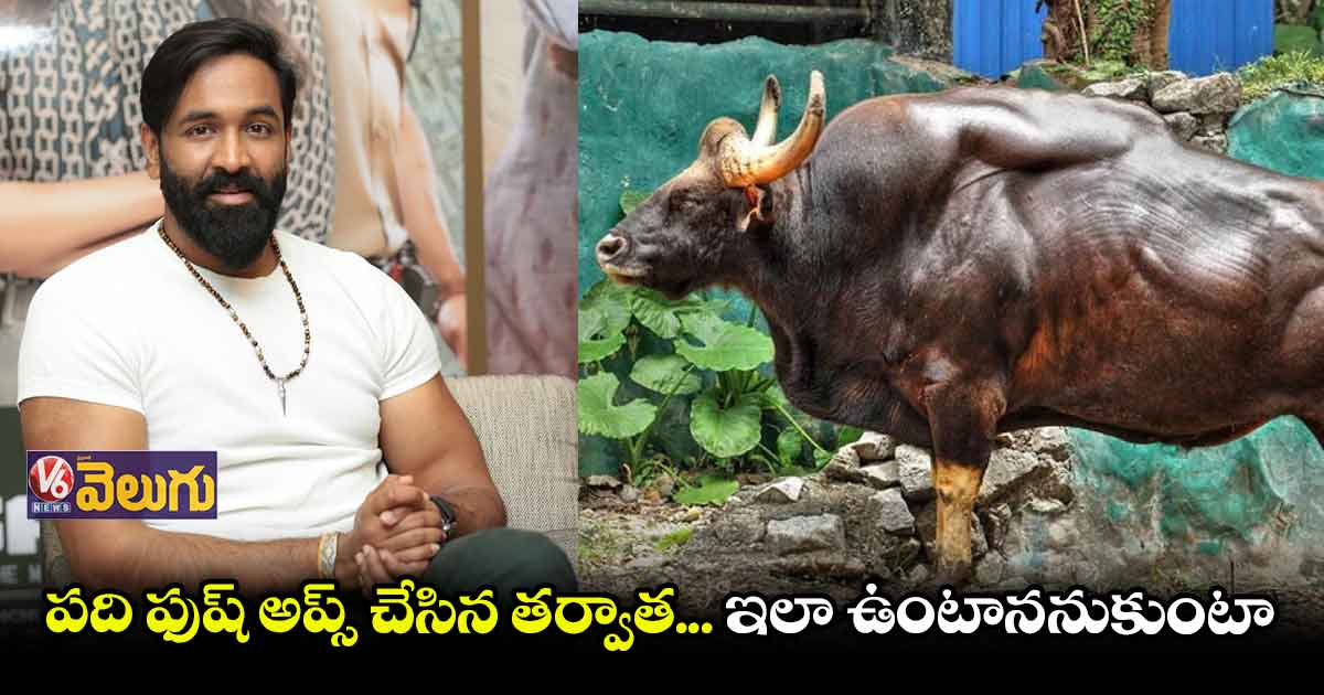 దున్నపోతు ఫొటో పోస్టు చేసిన మంచు విష్ణు.. నెటిజన్ల రియాక్షన్