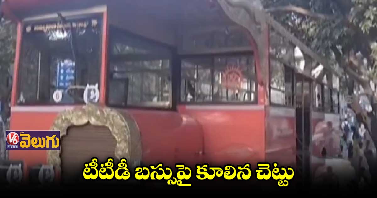 తిరుమలలో భక్తులకు తప్పిన ప్రమాదం