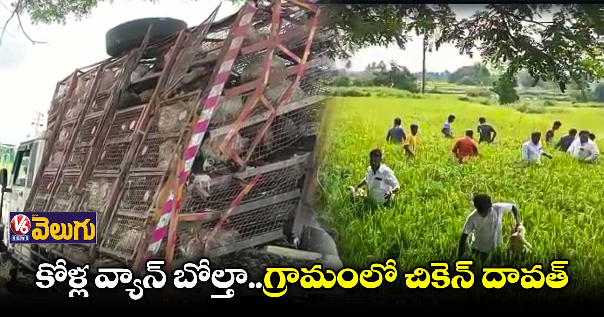 మెదక్ లో కోళ్ల వ్యాన్ బోల్తా..ఎగబడ్డ జనం