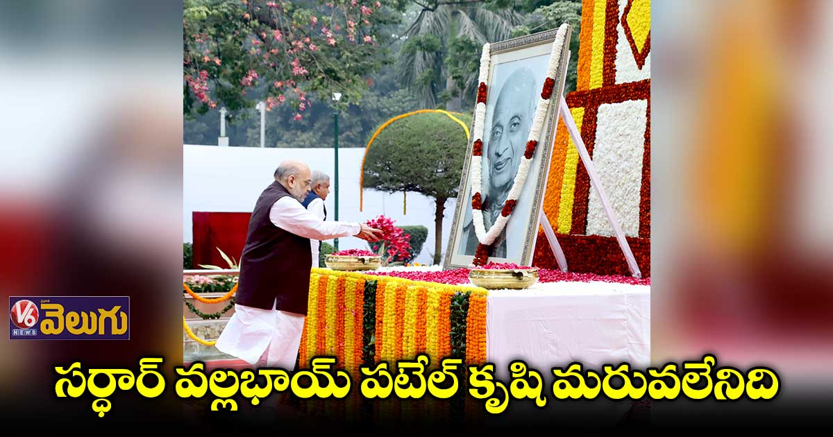సర్ధార్ వల్లభాయ్ పటేల్ చేసిన కృషి మరువలేనిది: అమిత్ షా