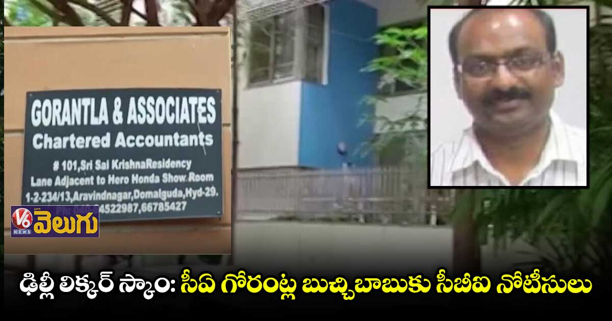 ఢిల్లీ లిక్కర్ స్కాం: సీఏ గోరంట్ల బుచ్చిబాబుకు సీబీఐ నోటీసులు