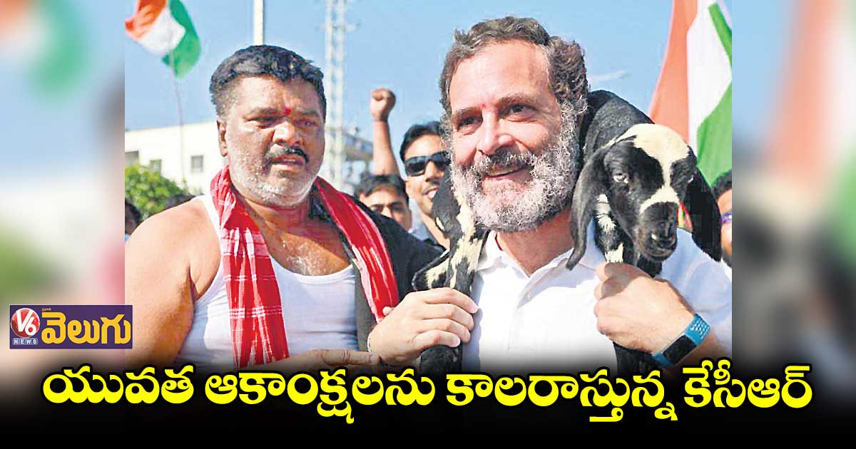విద్యను ప్రైవేటుపరం చేస్తున్నడు: రాహుల్