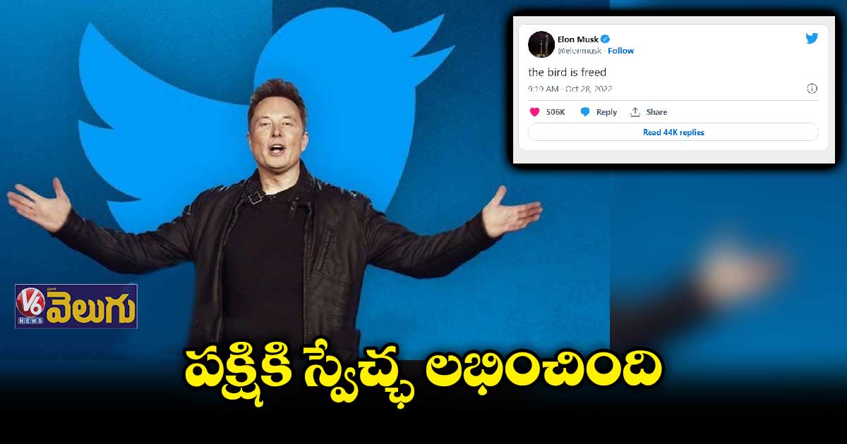 ట్విటర్ పక్షికి స్వేచ్ఛ లభించింది : మస్క్