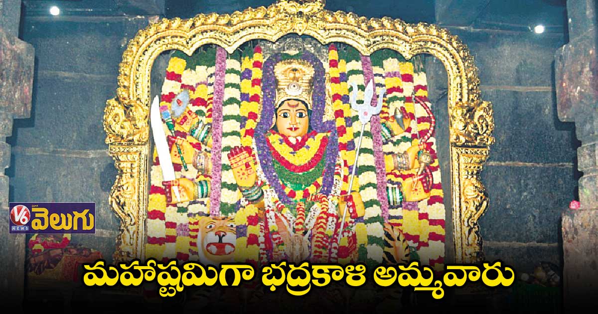 ఉమ్మడి వరంగల్ జిల్లా సంక్షిప్త వార్తలు