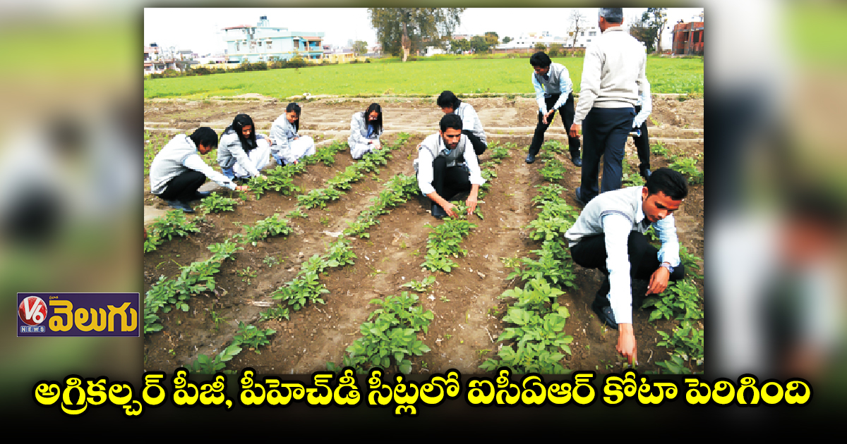 విదేశాలకు వెళ్లే స్టూడెంట్లకు కాన్వొకేషన్కు ముందే పట్టాలు