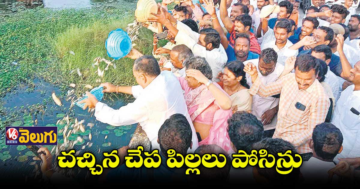 ప్రాజెక్టులో చనిపోయిన చేప పిల్లలను వదిలిన్రు