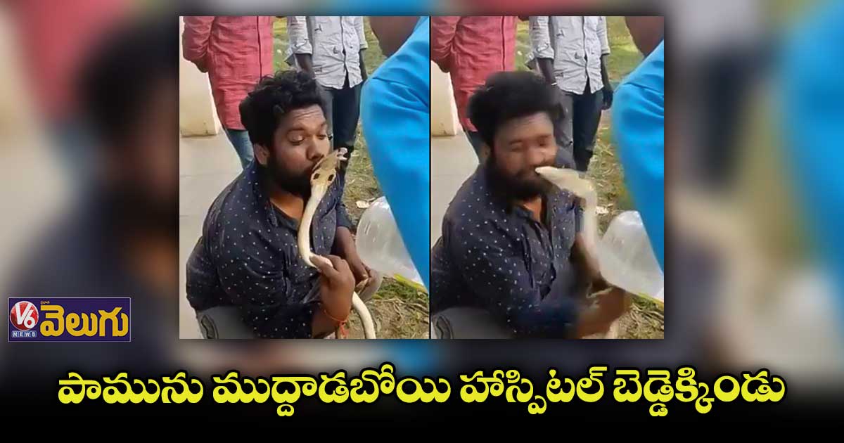 పాముతో పరాచకాలు.. కాటేశాక అగచాట్లు