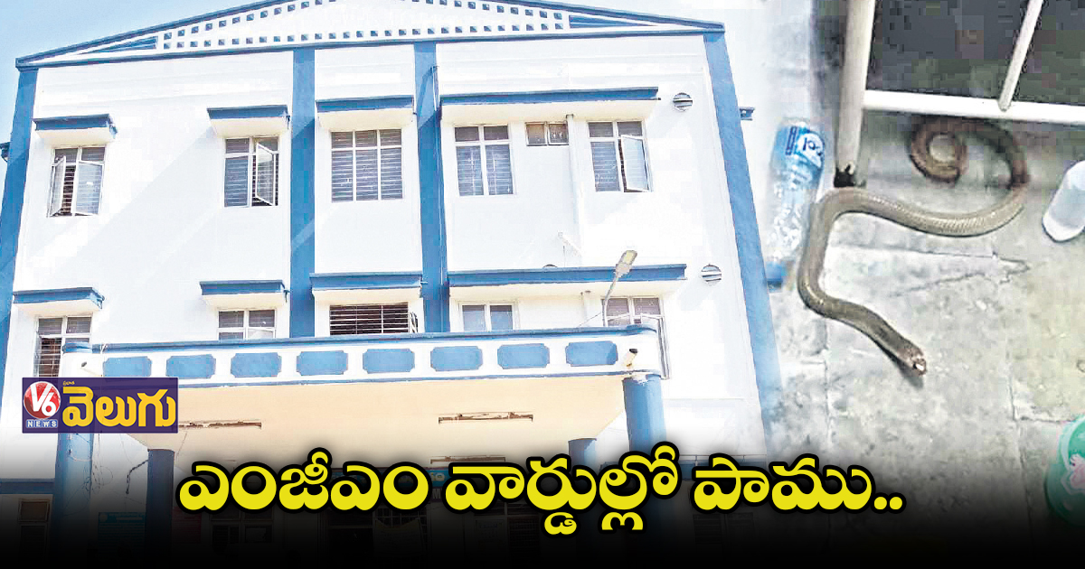 వరంగల్ ఎంజీఎంలో భయాందోళనలో పేషెంట్లు
