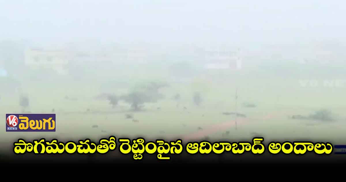 కవ్వాల్ అభయారణ్యంలో కమ్మేసిన పొగ మంచు