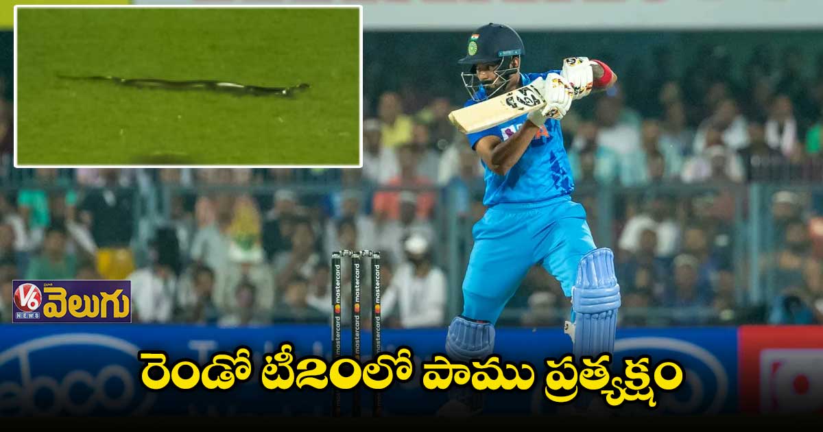 మైదానంలోకి పాము..భయాందోళనలో ఆటగాళ్లు