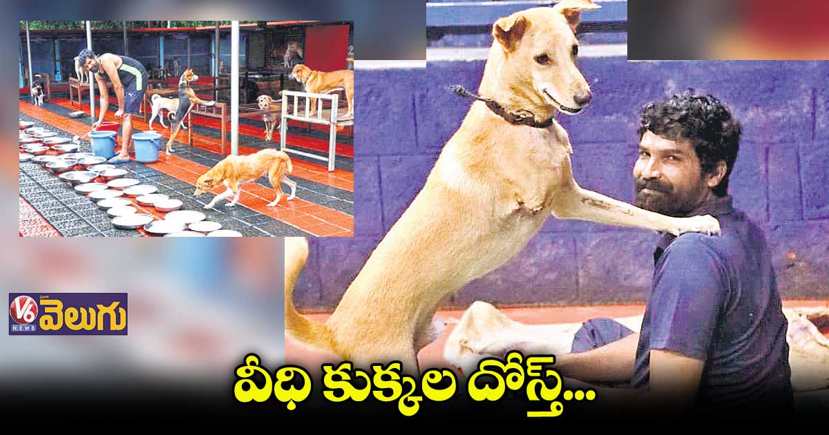 స్ట్రీట్డాగ్స్ కోసం వీరాంజయ్ హెగ్డే