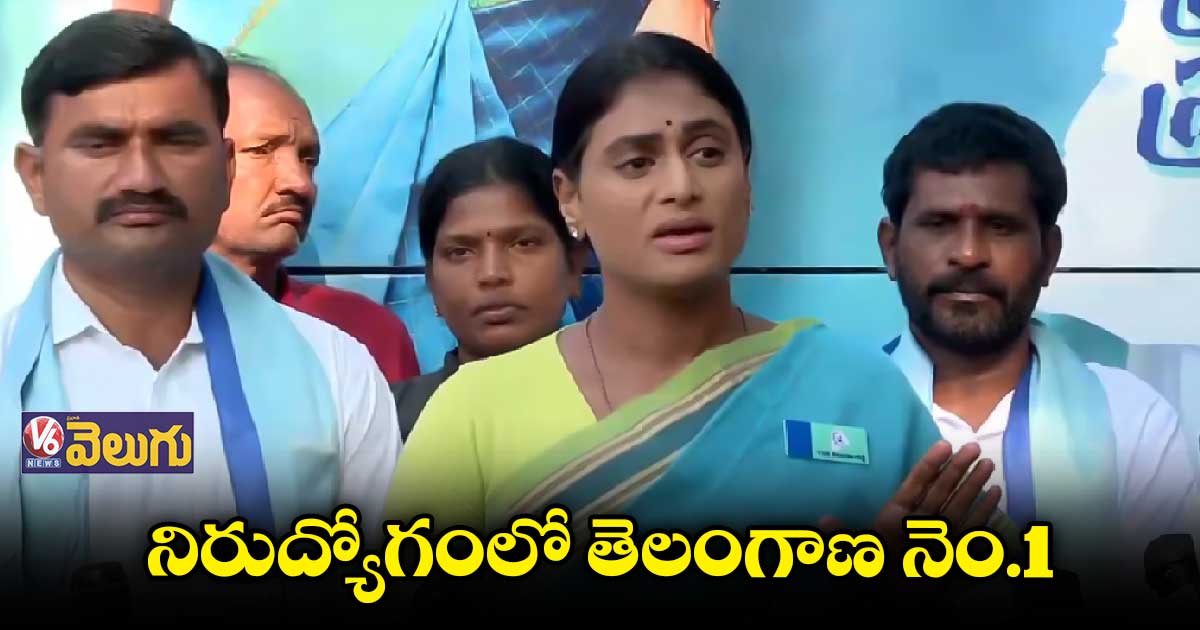కాళేశ్వరం ప్రాజెక్టు "మెఘా" అబద్దం: షర్మిల