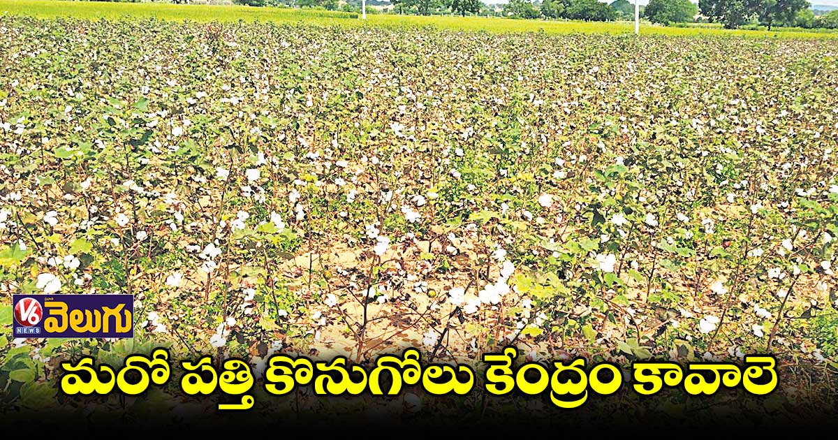 రామాయంపేటలో పత్తి కొనుగోలు కేంద్రం పెట్టాలె