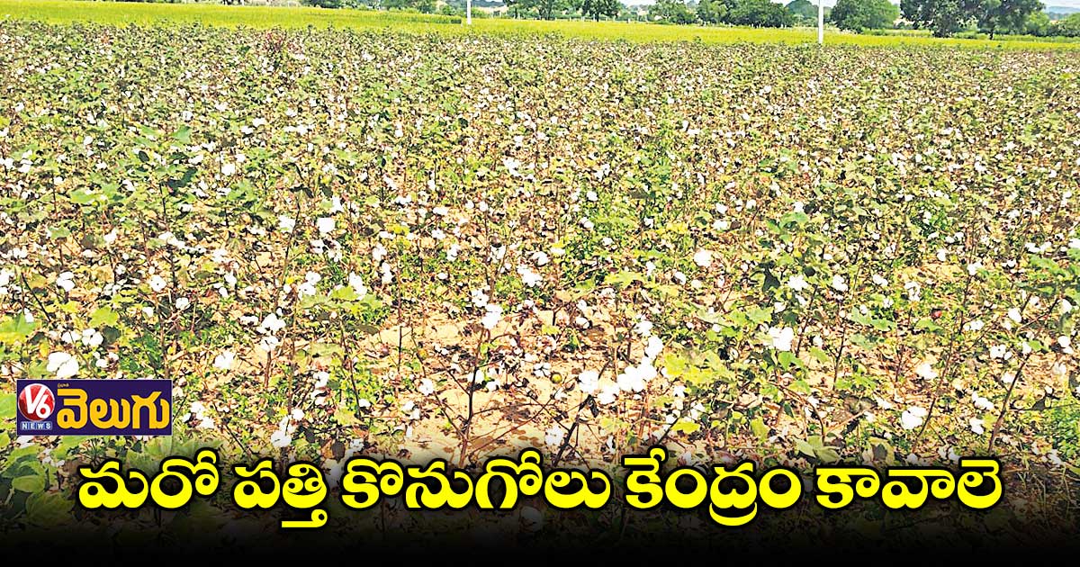 రామాయంపేటలో పత్తి కొనుగోలు కేంద్రం​ పెట్టాలె