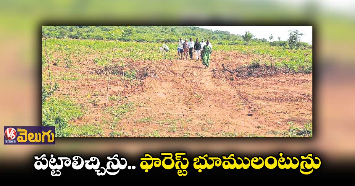 ఫారెస్ట్, రెవెన్యూ ఆఫీసర్ల నిర్లక్ష్యంతో రైతులకు ఇబ్బందులు 